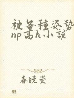 被各种姿势玩弄np高h小说