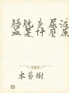 膀胱炎尿液有潜血是什么原因