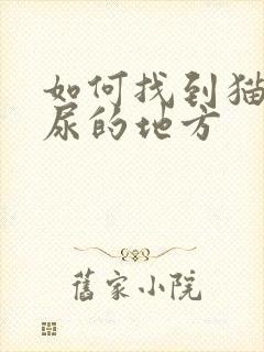 如何找到猫咪乱尿的地方