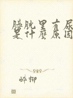 膀胱里有尿就疼是什么原因