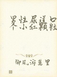 男性尿道口长了个小红颗粒