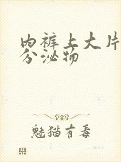 内裤上大片黄色分泌物