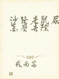 沙发老鼠尿骚味怎么去除