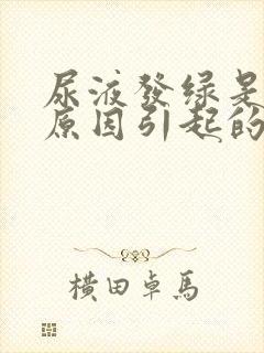 尿液发绿是什么原因引起的