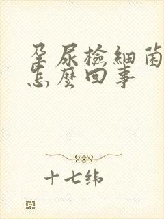 孕尿检细菌过高怎么回事