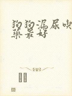 狗狗漏尿吃什么药最好