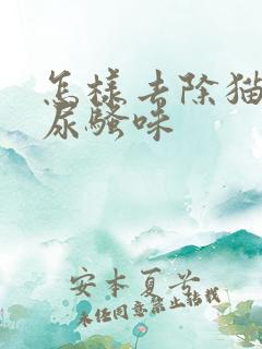 怎样去除猫咪的尿骚味