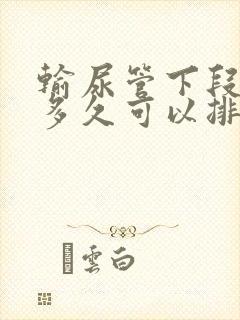 输尿管下段结石多久可以排出