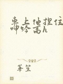 车上他捏住奶头呻吟高h