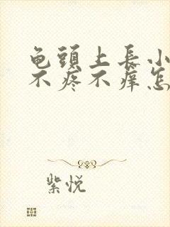 龟头上长小疙瘩不疼不痒怎么回事