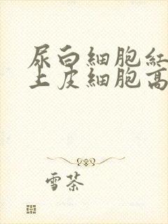 尿白细胞红细胞上皮细胞高