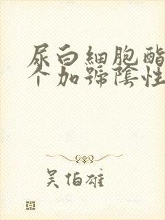 尿白细胞酯酶2个加号阴性