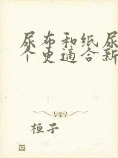 尿布和纸尿裤哪个更适合新生儿