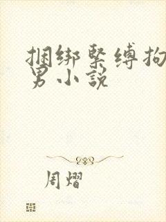 捆绑紧缚拘束男男小说