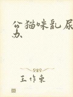 公猫咪乱尿怎么办