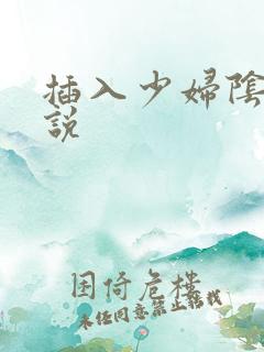 插入少妇阴道小说