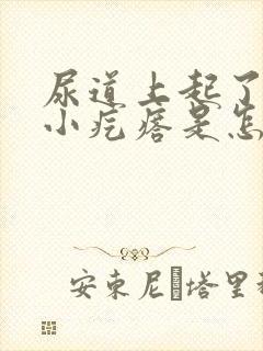 尿道上起了一个小疙瘩是怎么回事