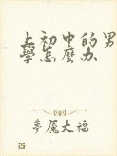 上初中的男孩厌学怎么办