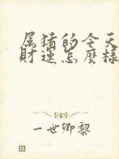 属猪的今天打牌财运怎么样