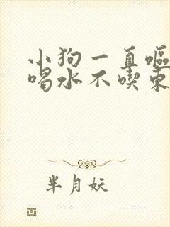 小狗一直呕吐只喝水不吃东西