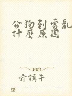 公狗到处乱尿是什么原因