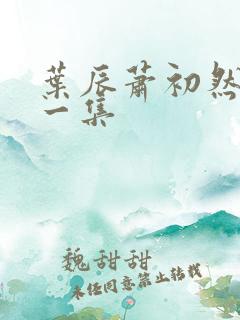 叶辰萧初然最后一集