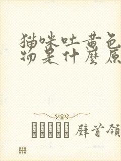 猫咪吐黄色糊状物是什么原因