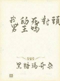 我的死对头是双男主吗