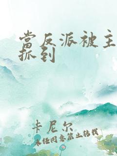 当反派被主角们抓到