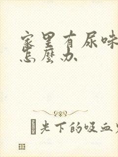 家里有尿味很臭怎么办