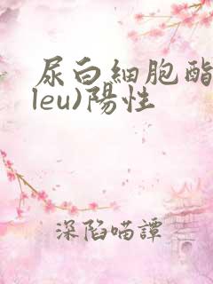 尿白细胞酯酶(leu)阳性