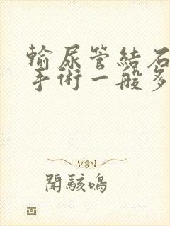 输尿管结石碎石手术一般多少钱