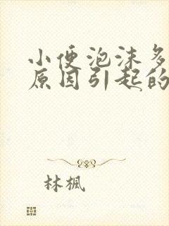 小便泡沫多什么原因引起的