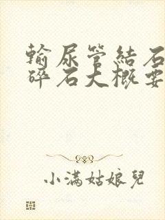 输尿管结石体外碎石大概要多少钱