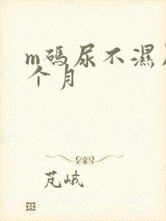 m码尿不湿用几个月