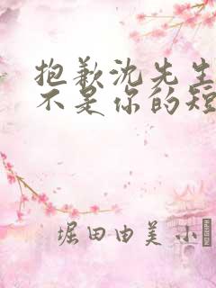 抱歉沈先生孩子不是你的短剧免费在线观看