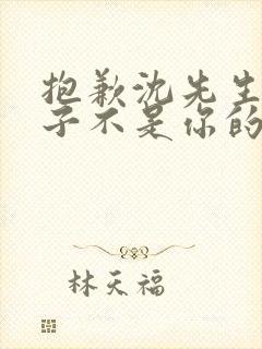 抱歉沈先生,孩子不是你的短剧