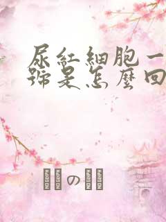 尿红细胞一个加号是怎么回事