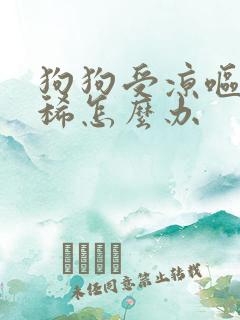 狗狗受凉呕吐拉稀怎么办