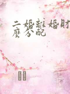 二婚离婚财产怎么分配