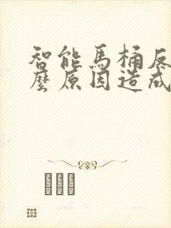 智能马桶反臭什么原因造成的呢