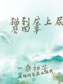 猫到床上尿是怎么回事