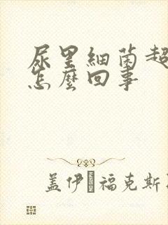 尿里细菌超标是怎么回事