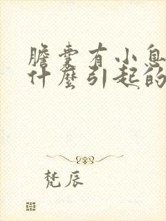 胆囊有小息肉是什么引起的