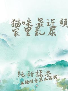 猫咪最近频繁在家里乱尿