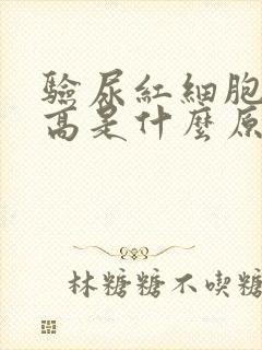 验尿红细胞计数高是什么原因