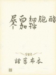 尿白细胞酯酶一个加号