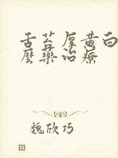 舌苔厚黄白吃什么药治疗