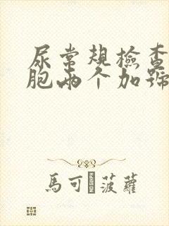 尿常规检查白细胞两个加号