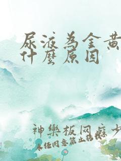 尿液为金黄色是什么原因